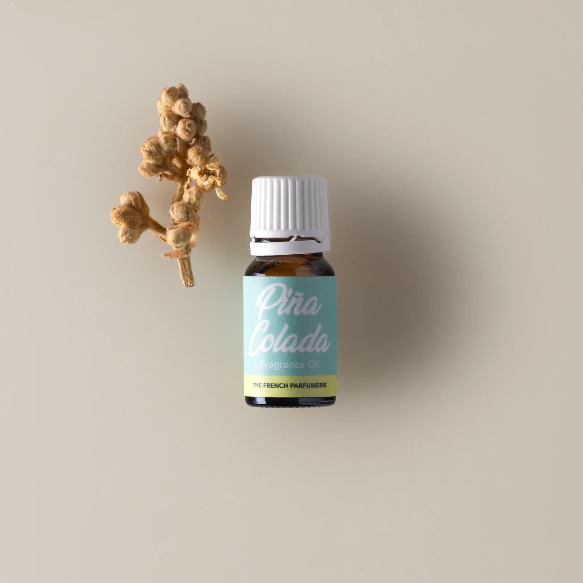 TFP Pina Colada Fragrance